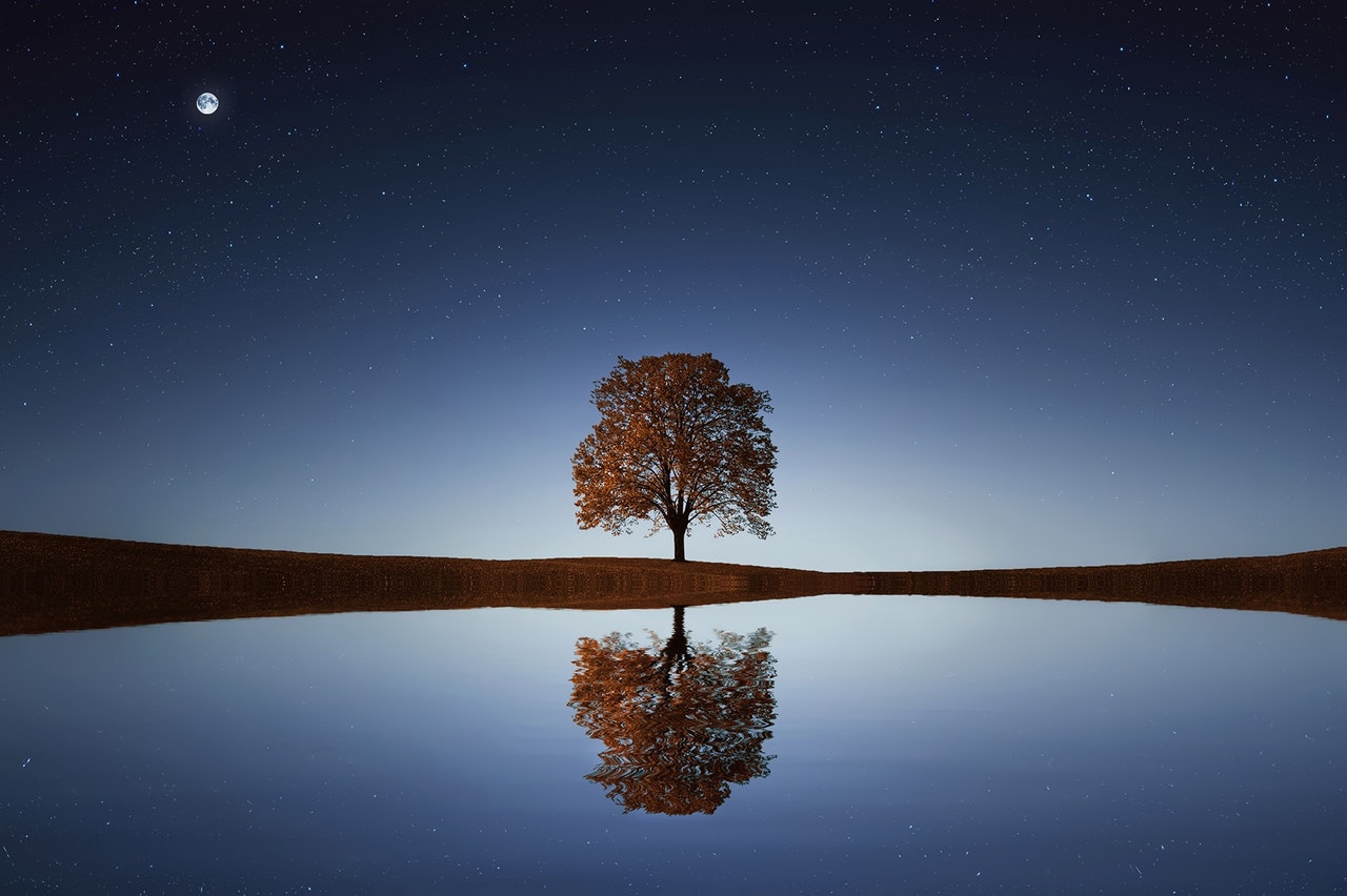 Experience The Dramatic Landscape
